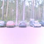 Grigory