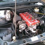 Альбомы пользователей клуба